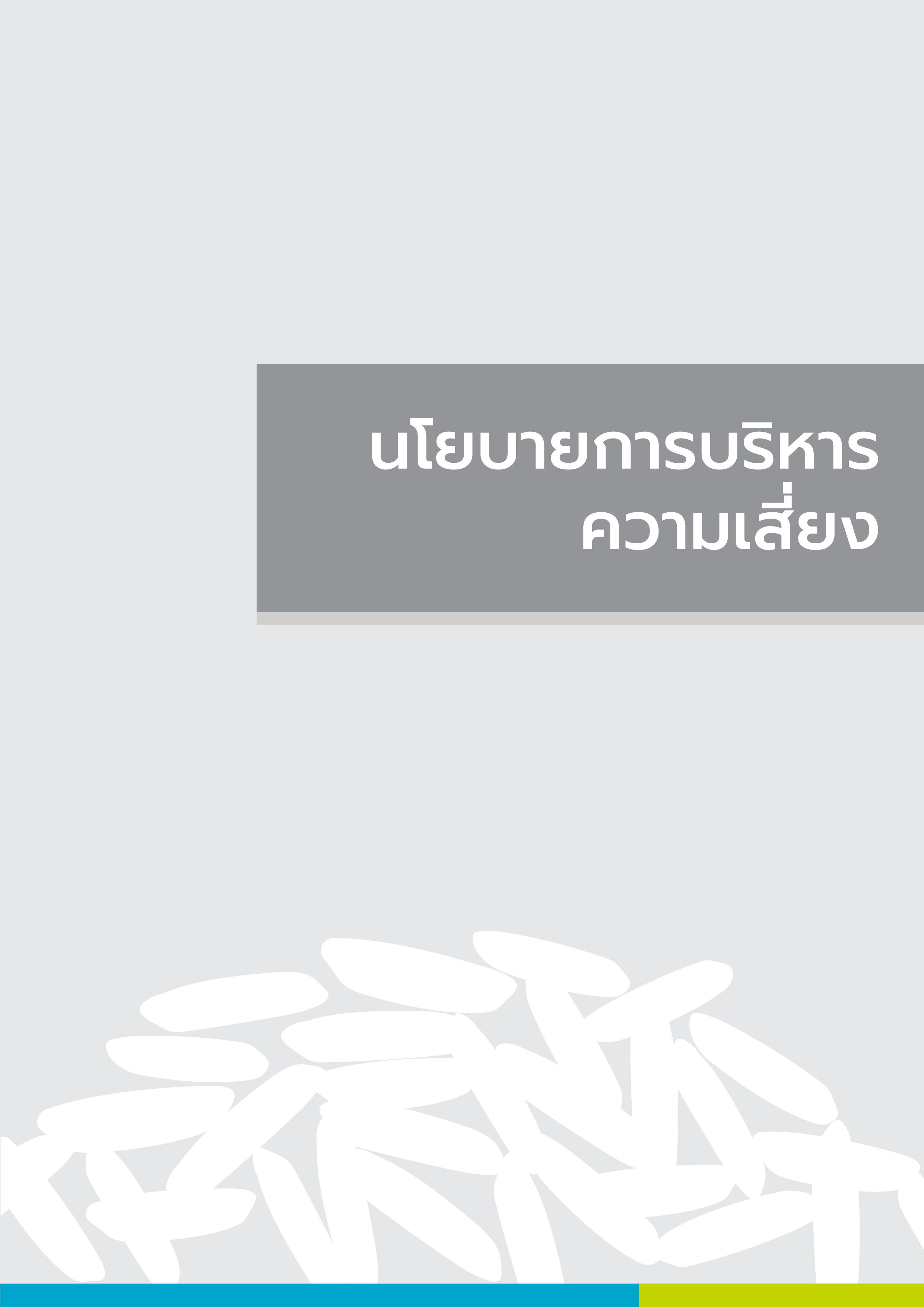 นโยบายการบริหารความเสี่ยง